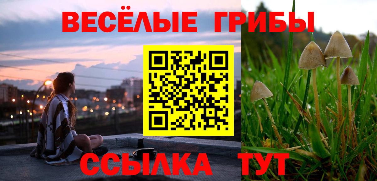 Галлюциногенные грибы мицелий Урус-Мартан