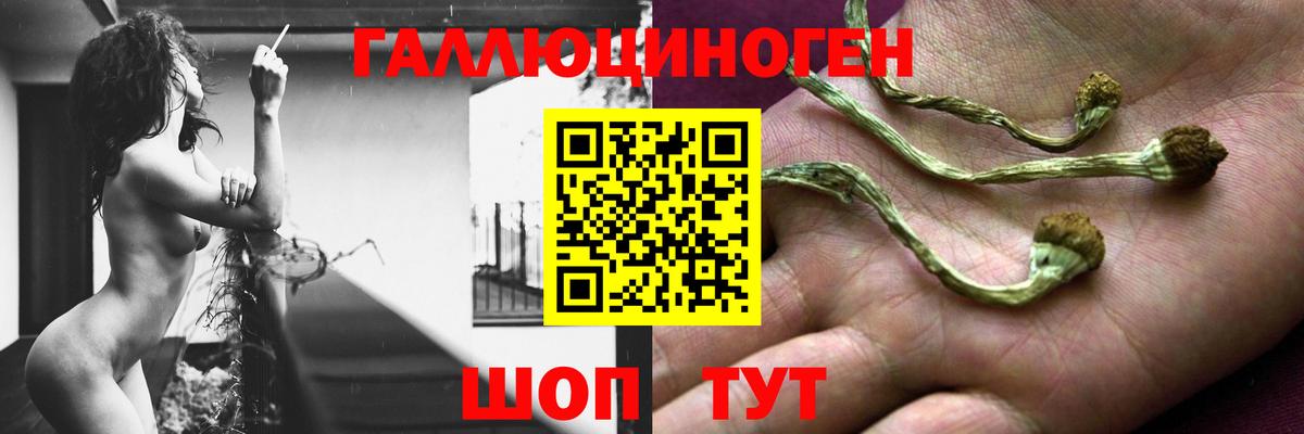 Галлюциногенные грибы мухоморы  Вход с VPN  Псилоцибиновые грибы мицелий  Урус-Мартан 